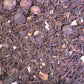 Black Currant Berry