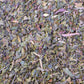 Peppermint Nettle
